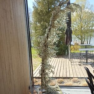 łuk kwiatowy kwiat kwitnącej jabłoni wiśni