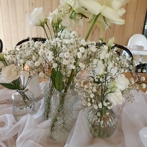 wazoniki przezroczyste